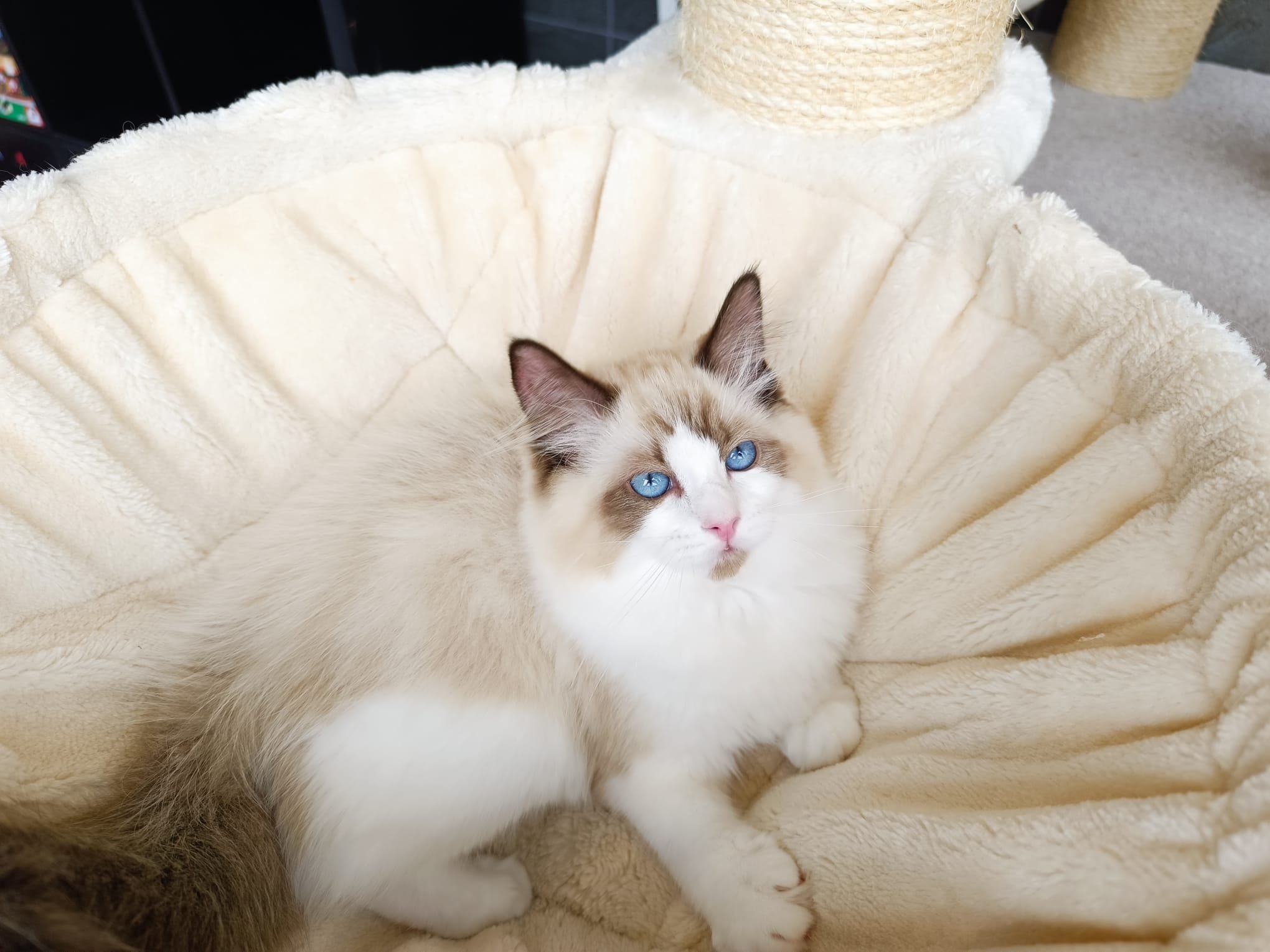 Karim vom Animal Planet